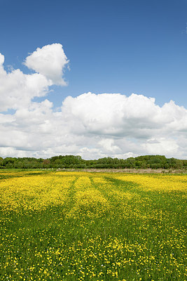 BUITEN BEELD Foto: 170500