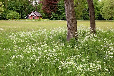 BUITEN BEELD Foto: 170507