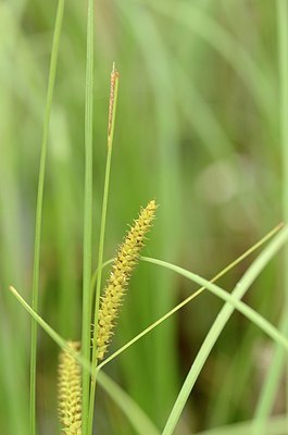 BUITEN BEELD Foto: 170539