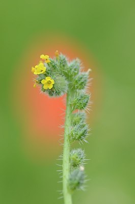 BUITEN BEELD Foto: 170543