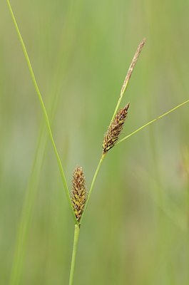 BUITEN BEELD Foto: 170544