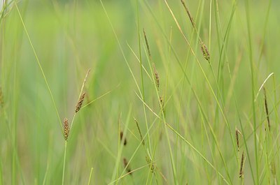 BUITEN BEELD Foto: 170545