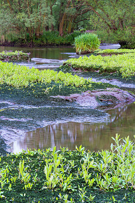 BUITEN BEELD Foto: 170588