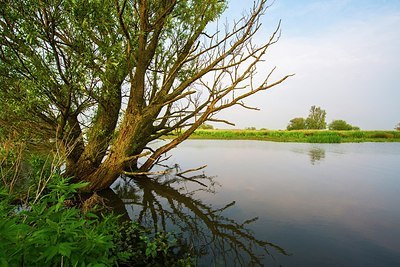 BUITEN BEELD Foto: 170594