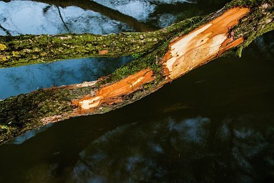 BUITEN BEELD Foto: 170596