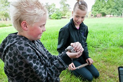 BUITEN BEELD Foto: 170618