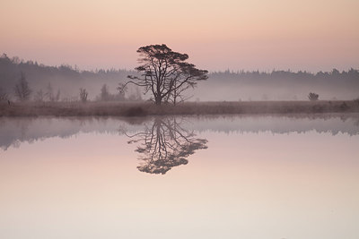 BUITEN BEELD Foto: 170648