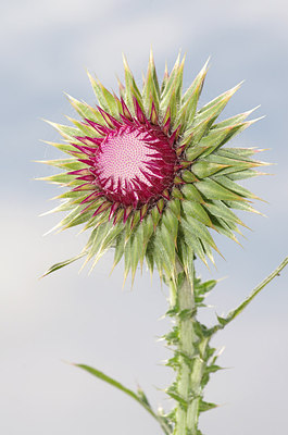 BUITEN BEELD Foto: 170674