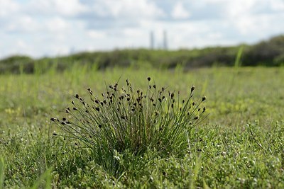 BUITEN BEELD Foto: 170684