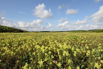 BUITEN BEELD Foto: 170685