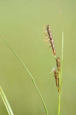 BUITEN BEELD Foto: 170689