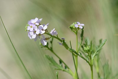 BUITEN BEELD Foto: 170695