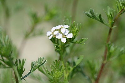 BUITEN BEELD Foto: 170700