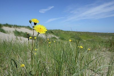 BUITEN BEELD Foto: 170711