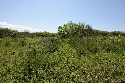 BUITEN BEELD Foto: 170712