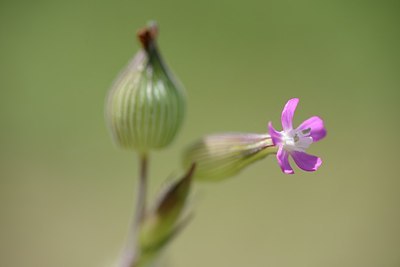 BUITEN BEELD Foto: 170719
