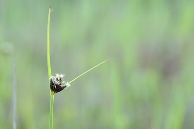 BUITEN BEELD Foto: 170725