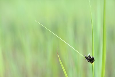 BUITEN BEELD Foto: 170742