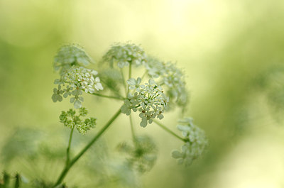 BUITEN BEELD Foto: 170760