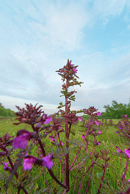 BUITEN BEELD Foto: 170775
