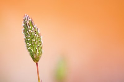 BUITEN BEELD Foto: 170782