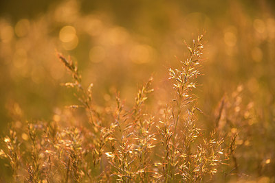 BUITEN BEELD Foto: 170789