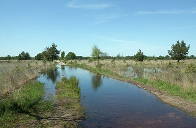 BUITEN BEELD Foto: 170822