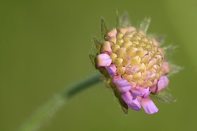 BUITEN BEELD Foto: 170823