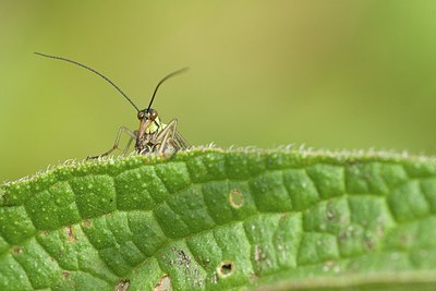 BUITEN BEELD Foto: 170835