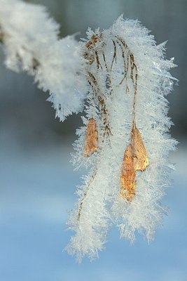 BUITEN BEELD Foto: 170854