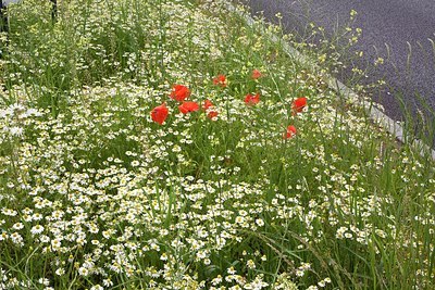 BUITEN BEELD Foto: 170857