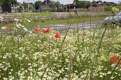 BUITEN BEELD Foto: 170858