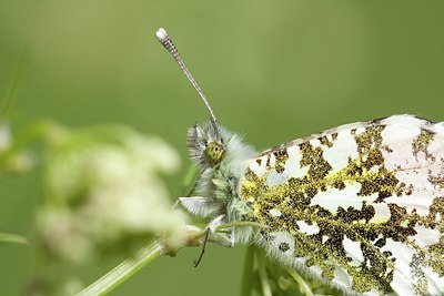 BUITEN BEELD Foto: 170865