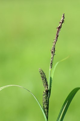 BUITEN BEELD Foto: 170877