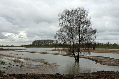 BUITEN BEELD Foto: 170887