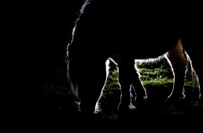 BUITEN BEELD Foto: 170916