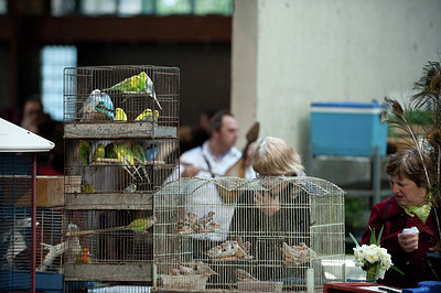 BUITEN BEELD Foto: 170938