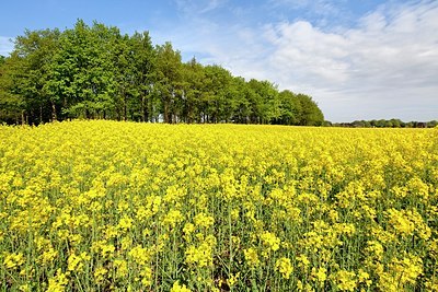 BUITEN BEELD Foto: 171043