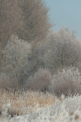 BUITEN BEELD Foto: 171053