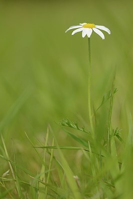 BUITEN BEELD Foto: 171059