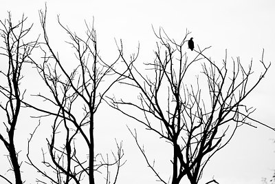BUITEN BEELD Foto: 171135