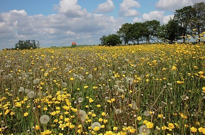 BUITEN BEELD Foto: 171156