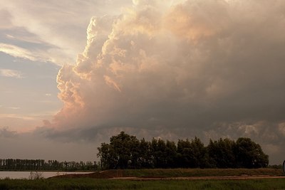BUITEN BEELD Foto: 171157
