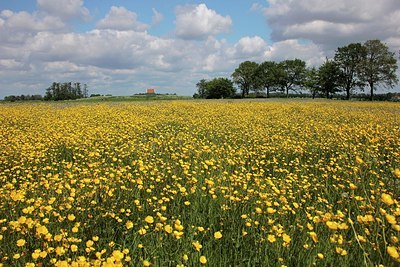 BUITEN BEELD Foto: 171158