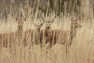 BUITEN BEELD Foto: 171167