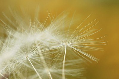 BUITEN BEELD Foto: 171174