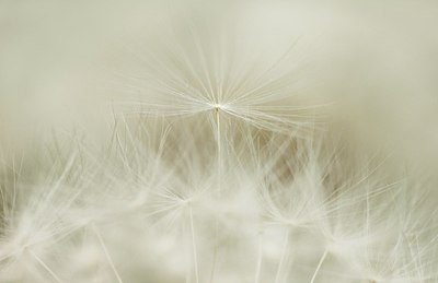 BUITEN BEELD Foto: 171183