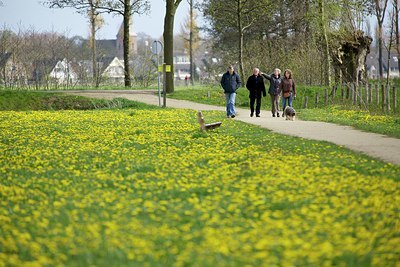 BUITEN BEELD Foto: 171261
