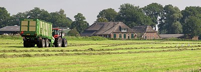 BUITEN BEELD Foto: 171284