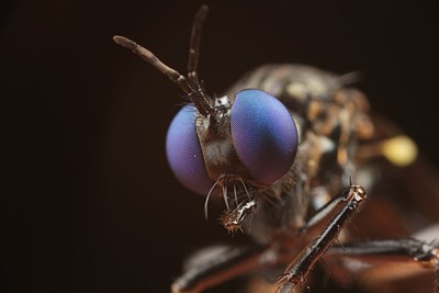 BUITEN BEELD Foto: 171332